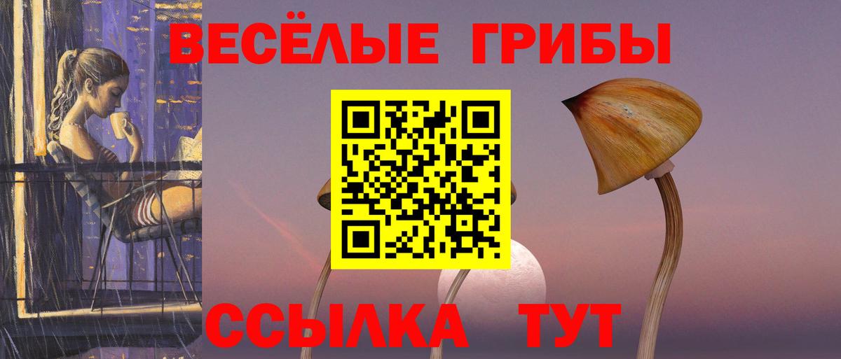 Узловая  Галлюциногенные грибы мицелий  Вход с VPN 